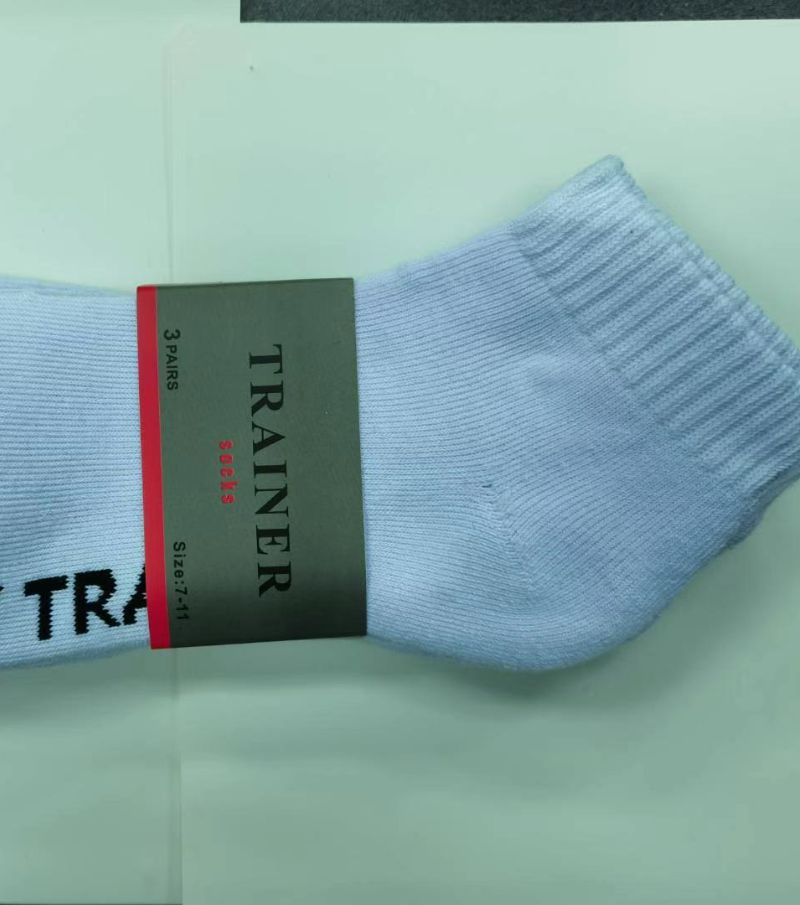 Trainer Socks